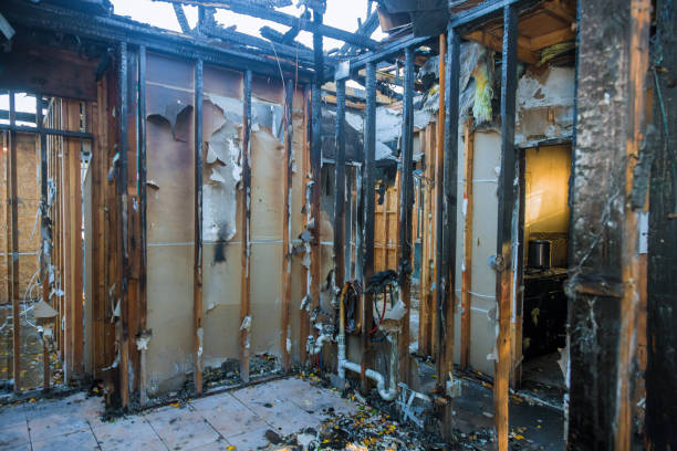 Professional Fire Damage Repair technician working in Twin Grove, IL